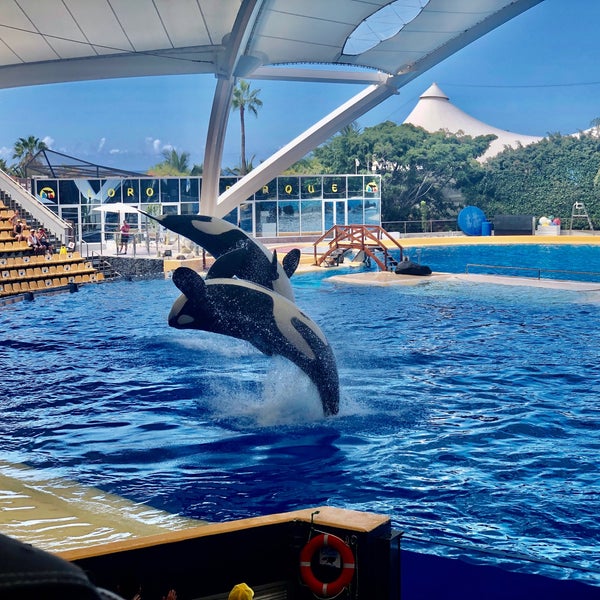 Photo taken at Loro Parque by Alexandr V. on 9/21/2022