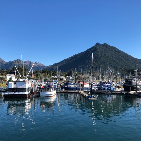 Old Sitka Dock Harbor or Marina in Sitka