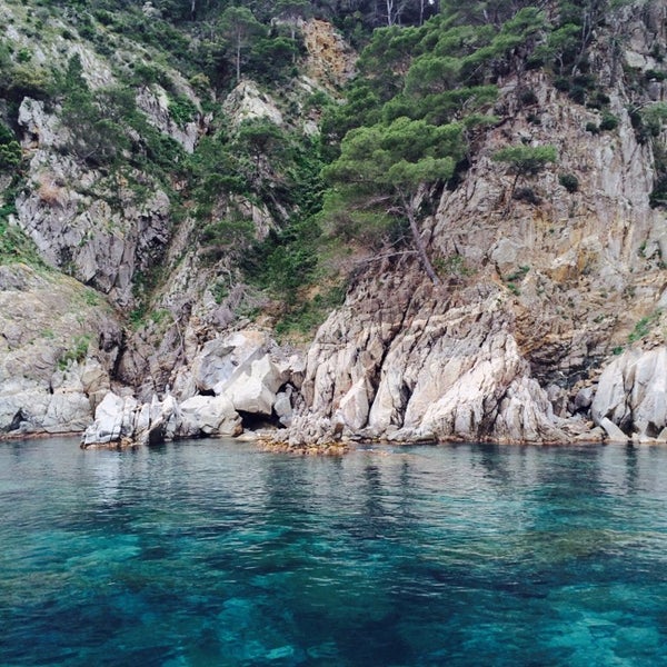Cala Fornells Beach