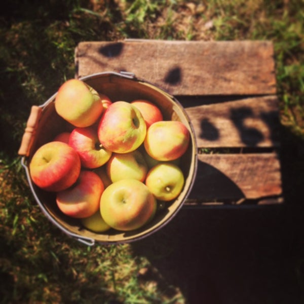 Photo taken at Wilson&#39;s Apple Orchard by Megan B. on 9/22/2013