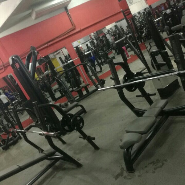 Голден джим фучика. Голден джим фучика. Голден джим фучика. Golden gym екатеринбург. Голден джим екатеринбург.