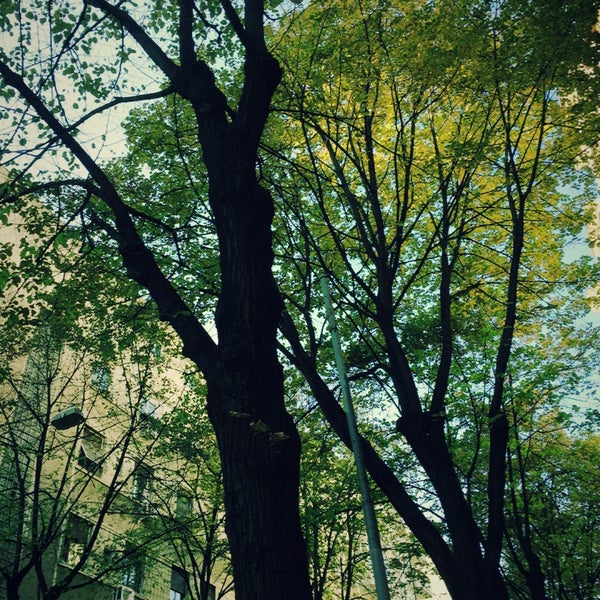 O polo strahinjica bana Clearance