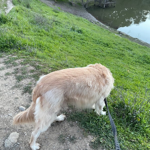 Photos at Water Dog Lake Park Hiking Trail