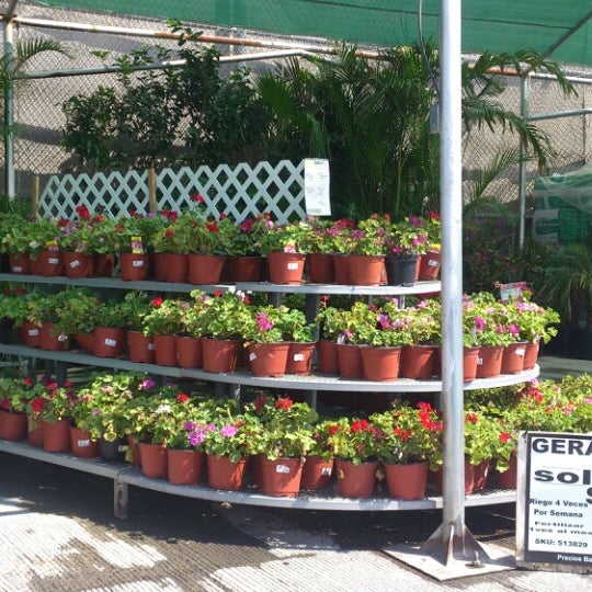 The Home Depot (Now Closed) Torreon, Coahuila de Zaragoza