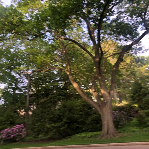 Horseshoe Lake (Upper Shaker Lake) 1 tip from 364 visitors