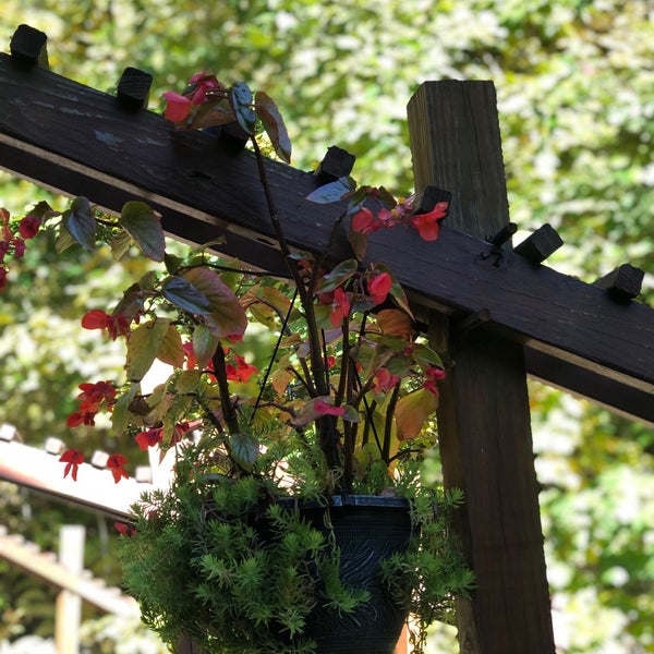 Treetops Restaurant 5 tips from 168 visitors