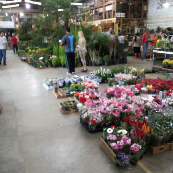 Photos at Mercado das Flores do Ceasa - Rod. BR 116, 22281