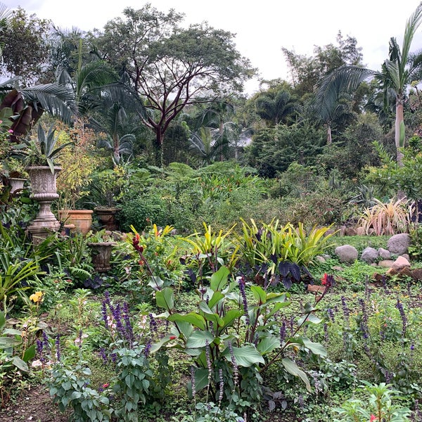 Photo taken at Vallarta Botanical Gardens by Alejandro S. on 1/11/2020