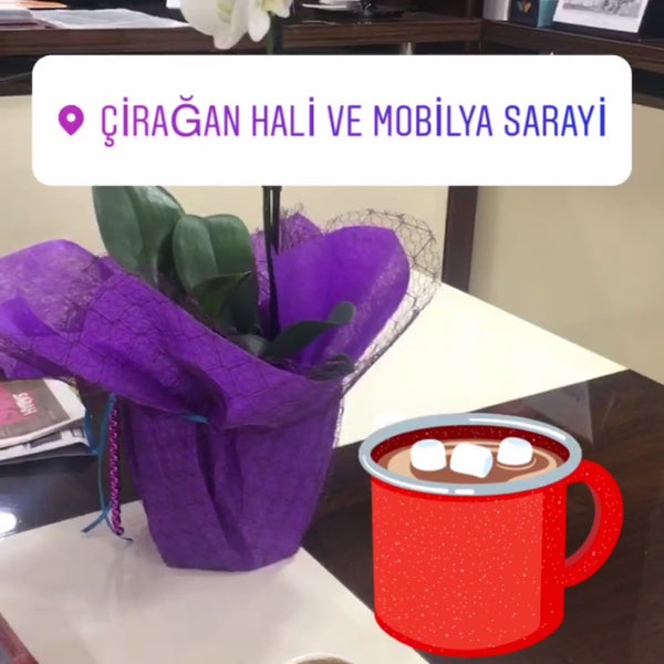 Ciragan Hali