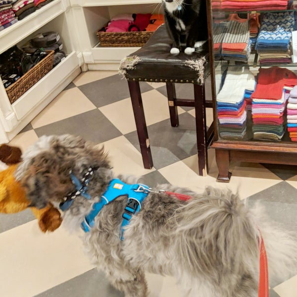 Canine Styles Upper East Side New York, NY