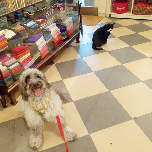 Canine Styles Upper East Side New York, NY