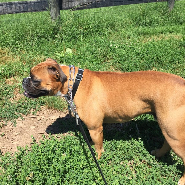 Coldstream Dog Park Lexington, KY