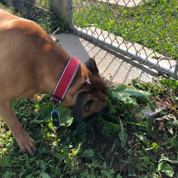 Coldstream Dog Park Lexington, KY
