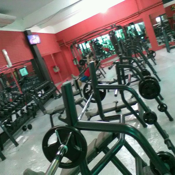 Golden gym екатеринбург фучика. Golden gym екатеринбург фучика. Фитнес екатеринбург ботаника. Golden gym. Золотая миля москва фитнес.