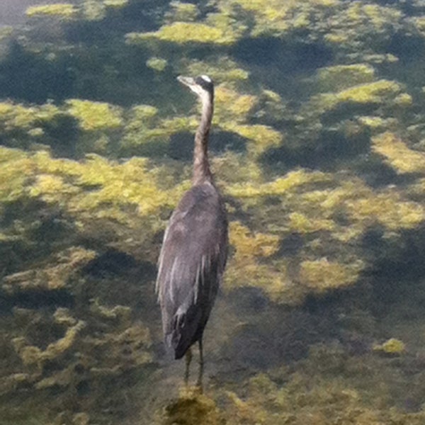 Staats Lake Hiking Trail