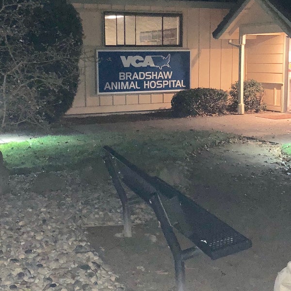 vca animal hospital bradshaw