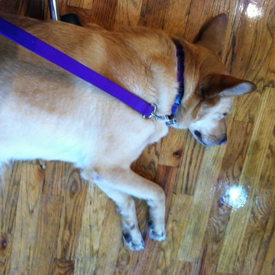 Shin Modern Nail Salon Nail Salon in East Village