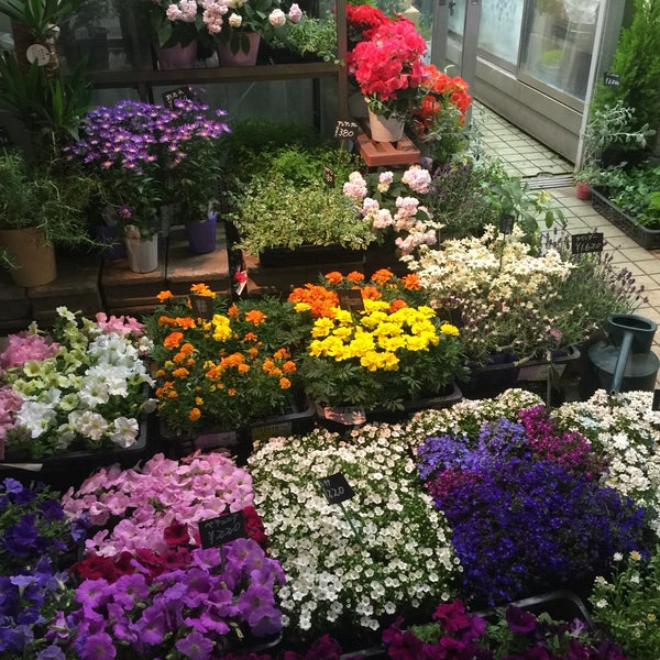 Photos At 鈴木生花店 中野区 沼袋1 36 2