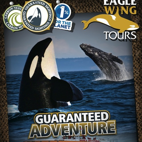 Photo prise au Eagle Wing Whale &amp; Wildlife Watching Tours par Eagle Wing Whale &amp; Wildlife Watching Tours le1/19/2016