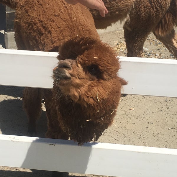 新潟市動物ふれあいセンター 1 Tip 新潟市動物ふれあいセンター 1 Tip