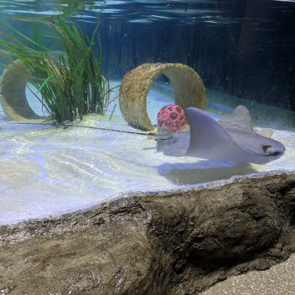 Das Foto wurde bei National Mississippi River Museum &amp; Aquarium von Jenna N. am 9/15/2019 aufgenommen