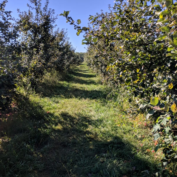Photo taken at Wilson&#39;s Apple Orchard by Jenna N. on 9/15/2018
