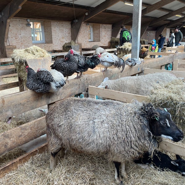 Misverstand Shipley Erge, ernstige schapenboerderij Texel - 2 tips from 155 visitors