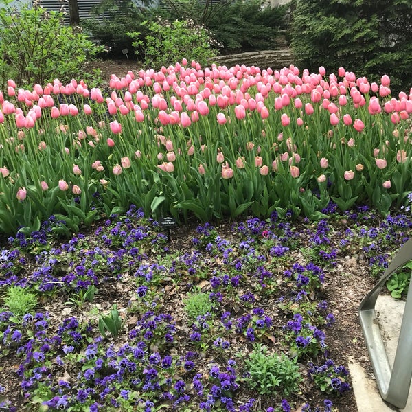 5/4/2018에 Lynne R.님이 Indianapolis Museum of Art (IMA)에서 찍은 사진