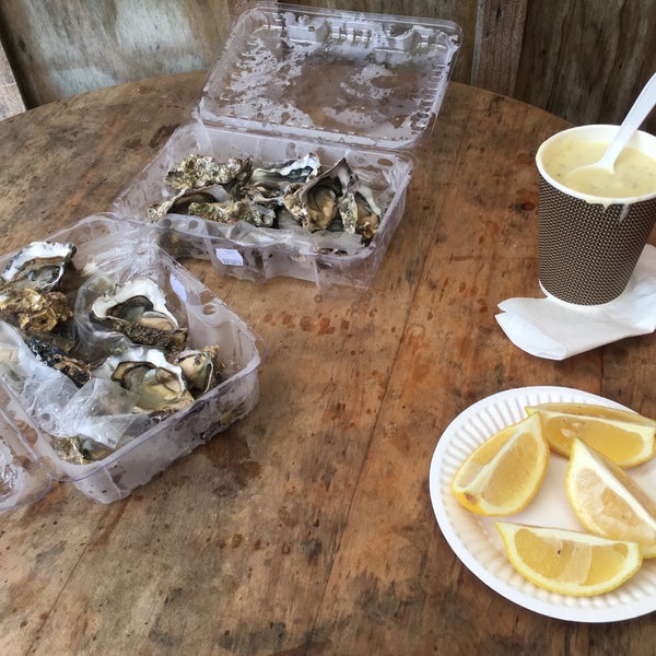 Coromandel Oyster Company 7 tips