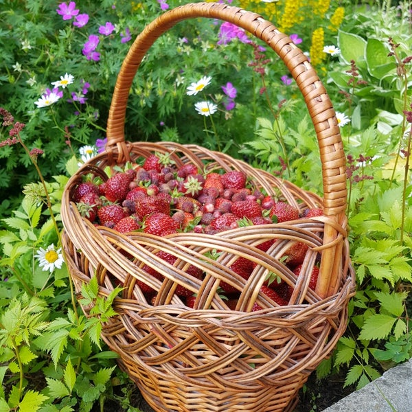 Купить Участки Мичуринец Дубна