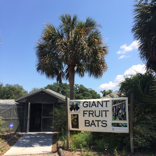 Lubee Bat Conservancy Gainesville, FL