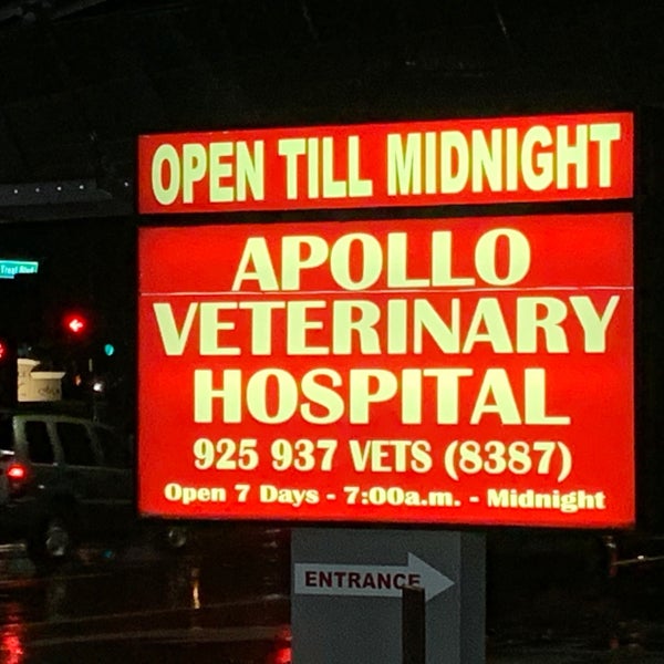 Apollo veterinary cheap clinic