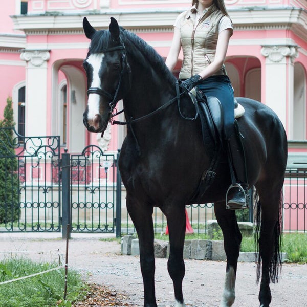 лошадь центр