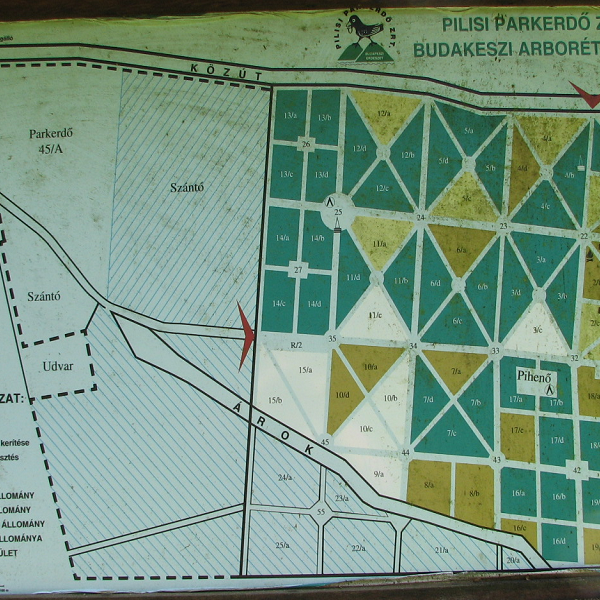 budakeszi arborétum térkép Photos At Budakeszi Arboretum budakeszi arborétum térkép