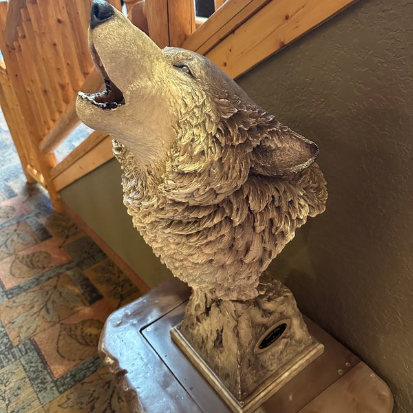 Camp Critter Bar & Grille at Great Wolf Lodge 10 tips from 396 visitors