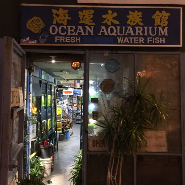 Ocean Aquarium Lower Nob Hill San Francisco CA