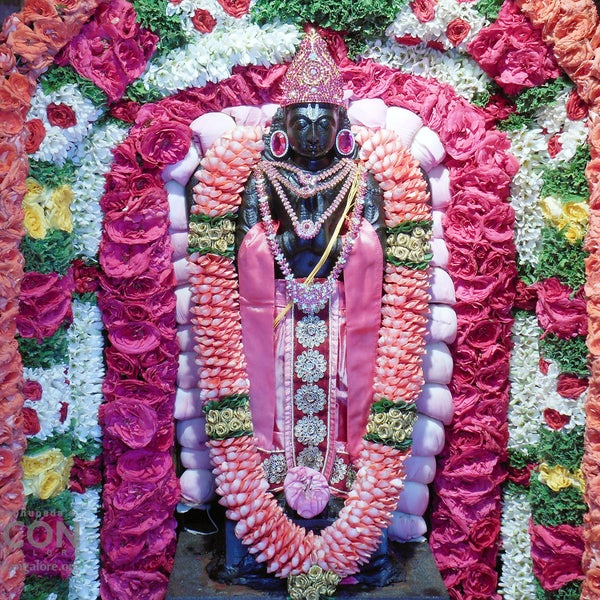 Today is Garuda Jayanthi ! Appearance day of Lord Garuda Dev!