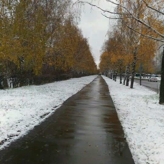Москва Дмитровский Район Фото