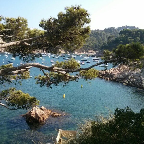 Cala Fornells Beach