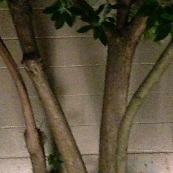 Onsen Hot Tubs University Eugene, OR