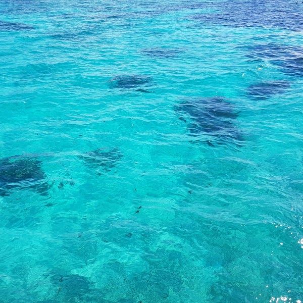 Grecian Rock Coral Reef - Atlantic Ocean