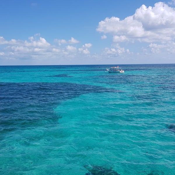 Grecian Rock Coral Reef - Atlantic Ocean