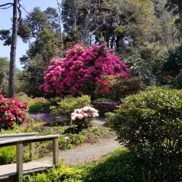 Photo taken at Mendocino Coast Botanical Gardens by Karl L. on 4/21/2018