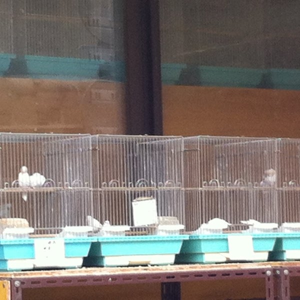 ペットショップ 鳥信 足立区 東京都 ペットショップ 鳥信 足立区 東京都