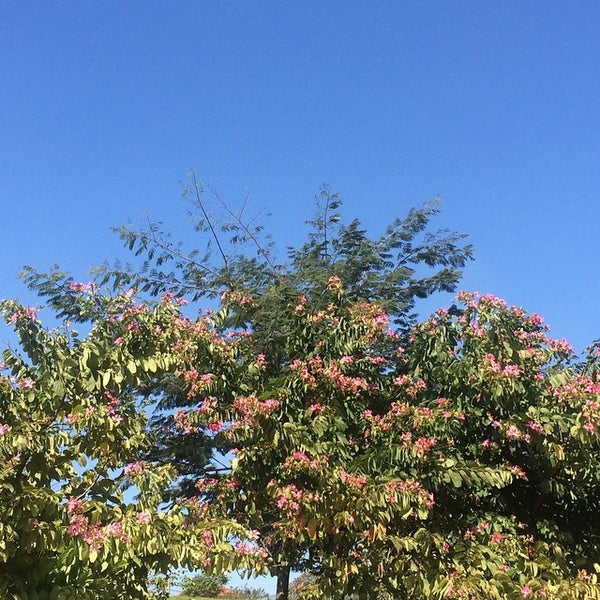 Cemitério Vila Formosa Carrão Av. João XXIII, 2537