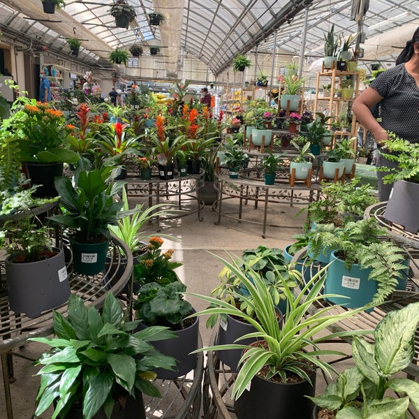 Golden Acre Home & Garden Thorncliffe 3 tips