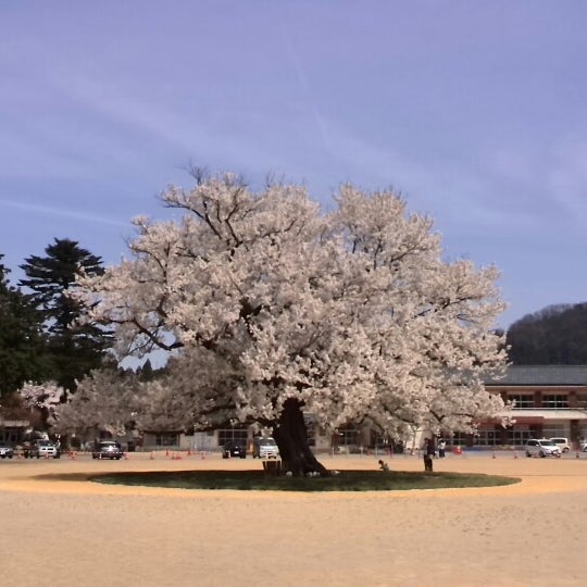 越前市立味真野小学校 越前市 福井県 越前市立味真野小学校 越前市 福井県