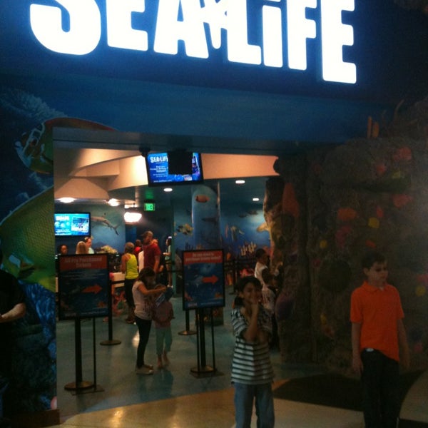 Photo taken at SEA LIFE Grapevine Aquarium by Chris M. on 4/20/2013