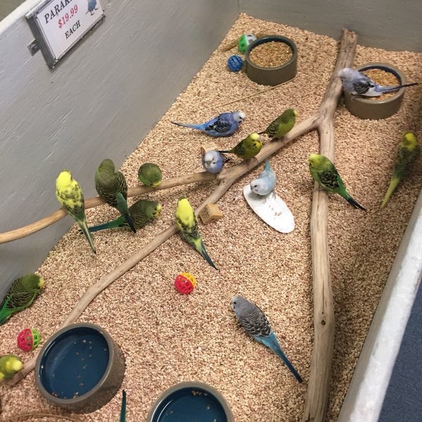 The Pet Warehouse 86 tips