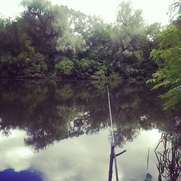 Река сухая ростовская область. Северский донец печенежское водохранилище. Железнодорожный мост станица платнировская. Сухой донец речка. Природа приазовья.